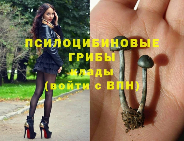 бошки Арсеньев