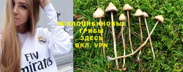 спайс Армянск