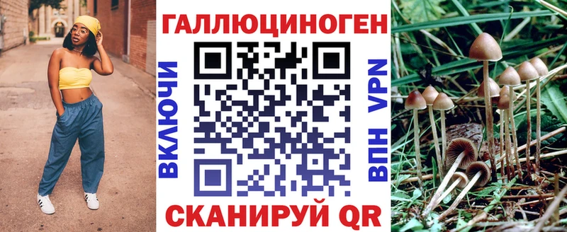 Галлюциногенные грибы MAGIC MUSHROOMS  сайты даркнета наркотические препараты  Владивосток  как найти наркотики 