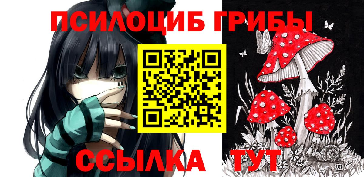 Псилоцибиновые грибы GOLDEN TEACHER Владивосток