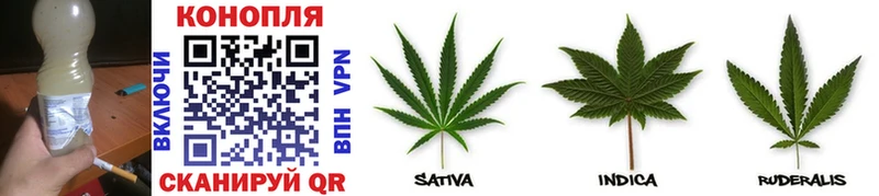 Бошки марихуана LSD WEED Владивосток